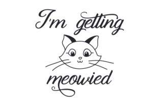 I’m Getting Meowed: A Design Review for Real Projects
